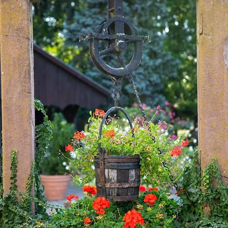 La Ferme Du Franz Diefmatten